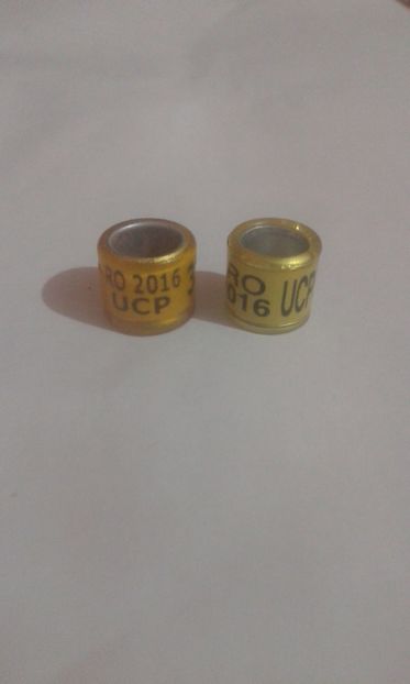 Ro 2016 ucp - Colectie inele de Romania