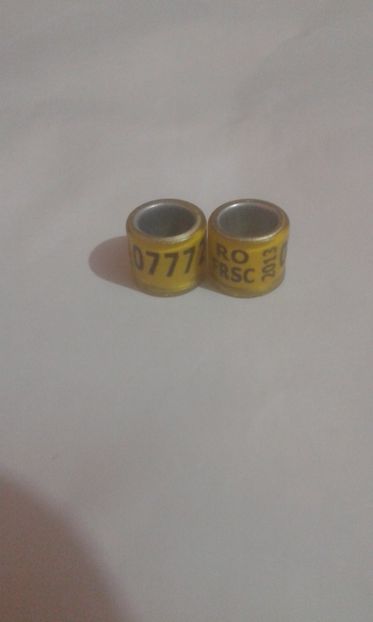 Ro frsc 2013 - Colectie inele de Romania