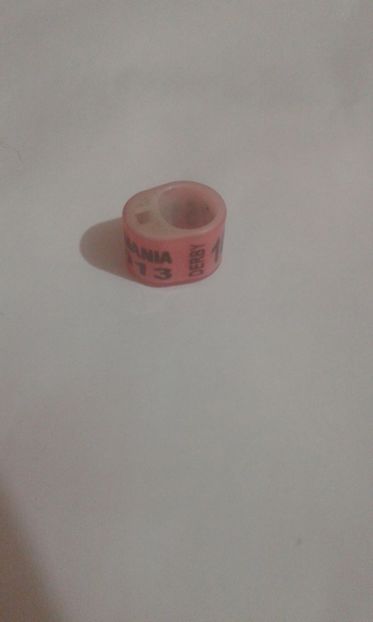 Romania 2013 derby - Colectie inele de Romania