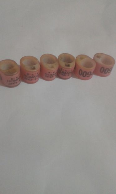 Ro fci 2013 - Colectie inele de Romania