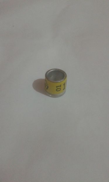 Pl 01 - Colectie inele Polonia