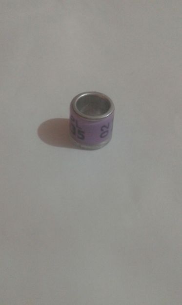 Pl 02 - Colectie inele Polonia