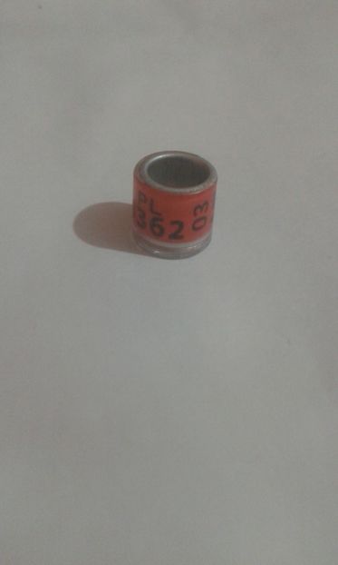 Pl 03 - Colectie inele Polonia