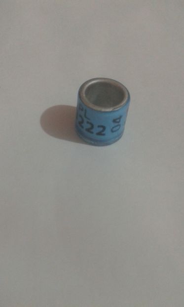 Pl 04 - Colectie inele Polonia