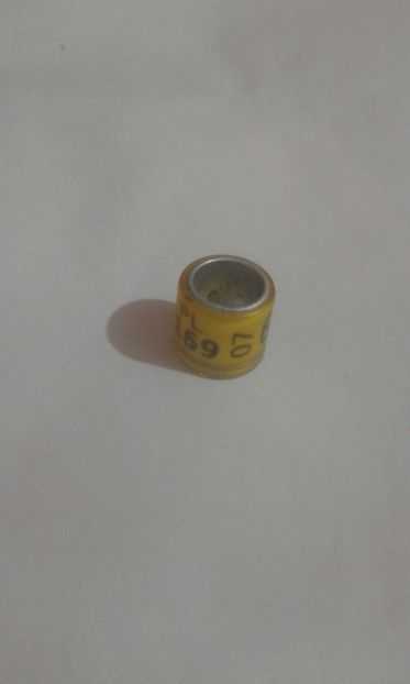 Pl 07 - Colectie inele Polonia