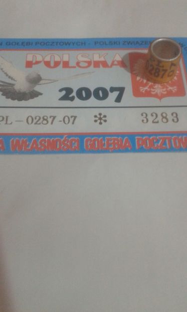 Pl 07 - Colectie inele Polonia