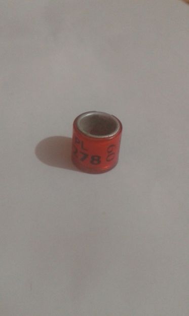 Pl 09 - Colectie inele Polonia