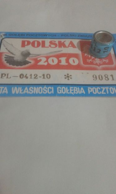 Pl 10 - Colectie inele Polonia