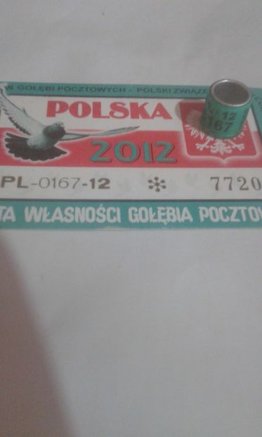 Pl 12 - Colectie inele Polonia