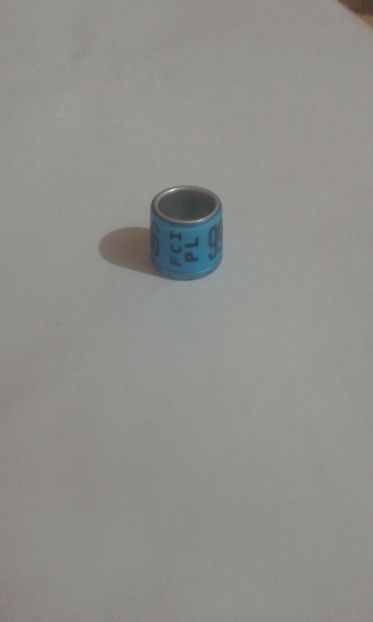 Fci pl 13 - Colectie inele Polonia