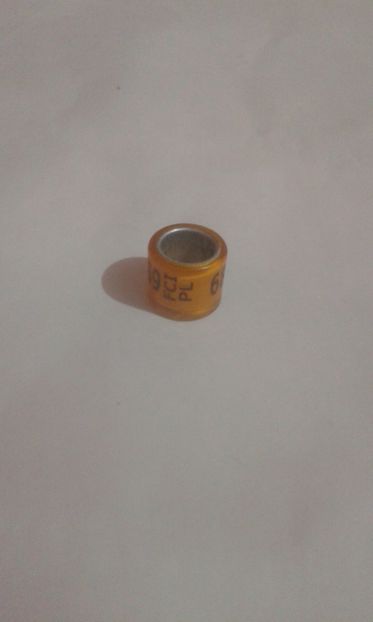 Fci pl 14 - Colectie inele Polonia