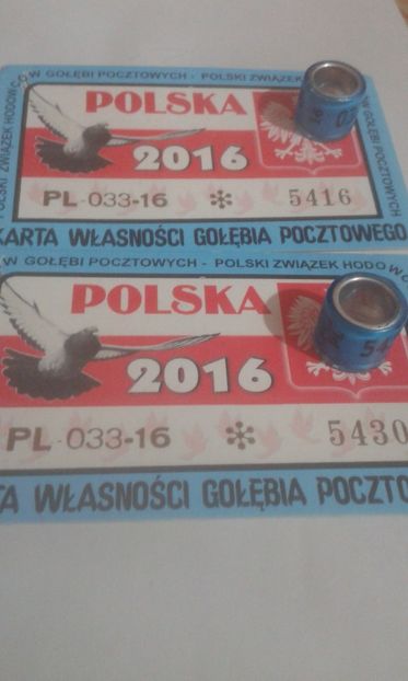 Pl fci 2016 - Colectie inele Polonia