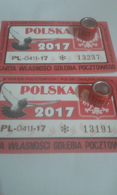 Pl fci 2017 - Colectie inele Polonia