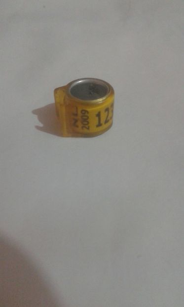 Nl 2009 - Colectie inele Olanda