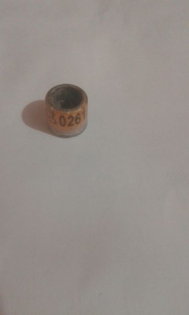 1524958640316-1245007562 - Colectie inele Cehia si Slovacia