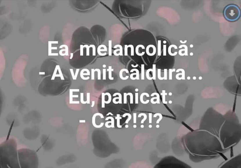  - Poze 4