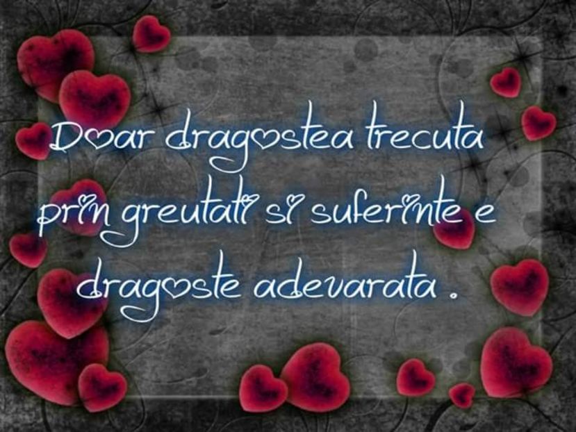  - Poze 4