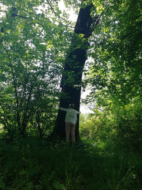 imbratisare - Gradina botanica