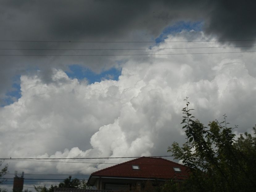 2017, May 14 - CLOUDS_Nori