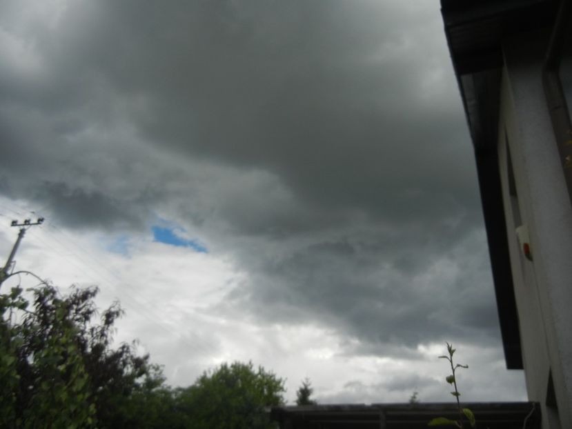 2017, May 14 - CLOUDS_Nori