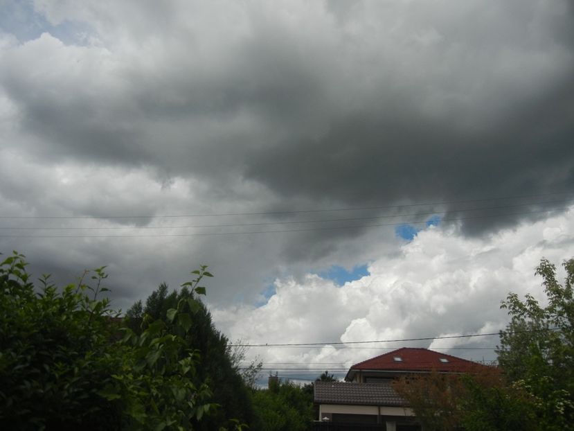 2017, May 14 - CLOUDS_Nori