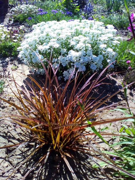  - curtea cu toate cele 2018