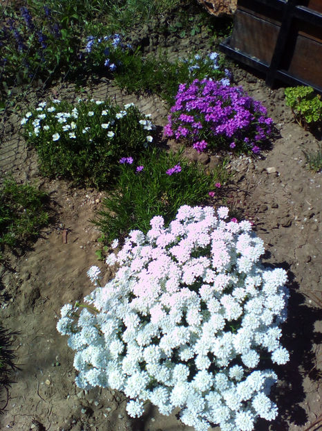  - curtea cu toate cele 2018