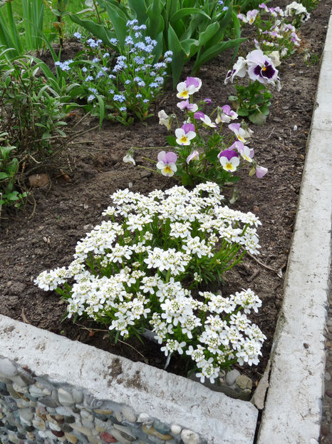  - 2018 - 01 - Primavara