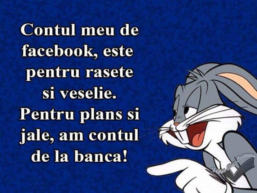 - Poze 4