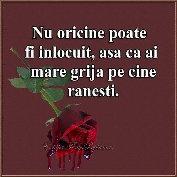  - Poze 4