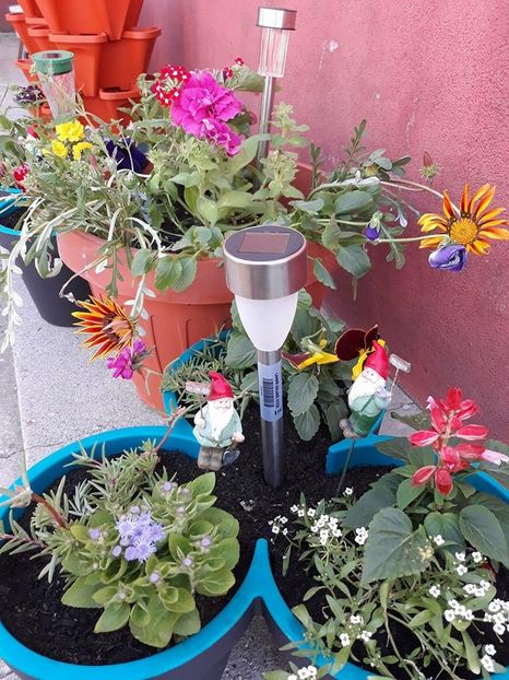  - 2018 - În grădină