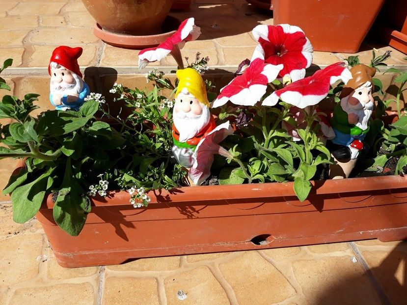  - 2018 - În grădină