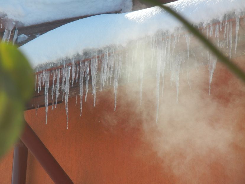 2014, December 31 - 04 WINTER Chill_Iarna