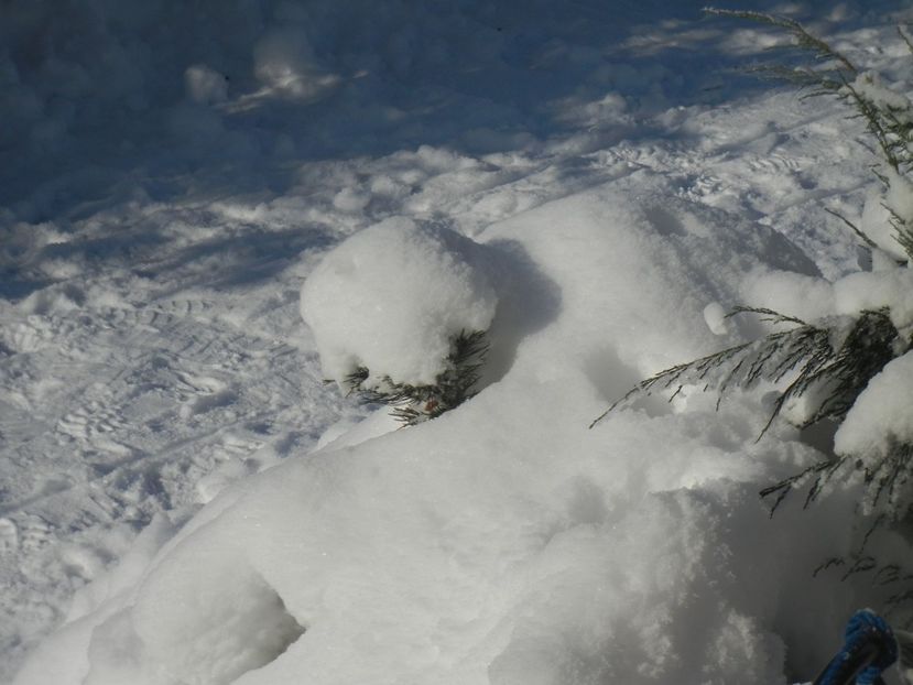 2014, December 31 - 04 WINTER Chill_Iarna