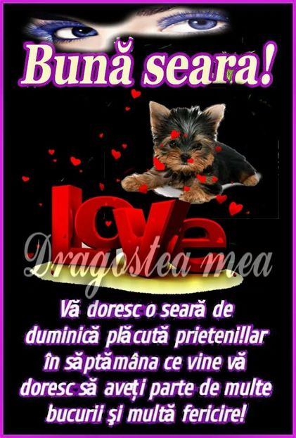  - Poze 4