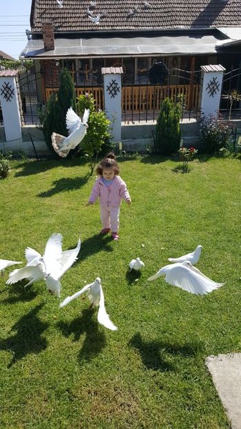 IMG-20180429-WA0000 - Cel mai mic Columbofil