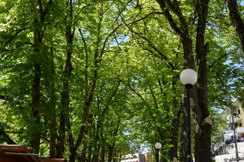  - Slanic Moldova si Targu Ocna