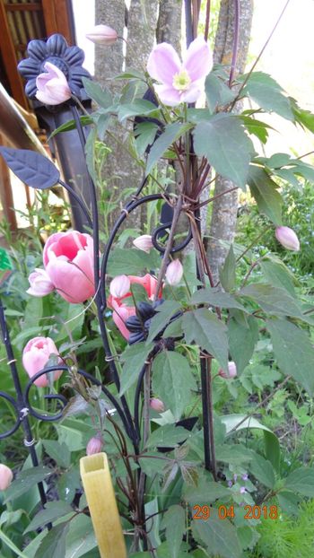  - Un inceput timid- aprilie infocat