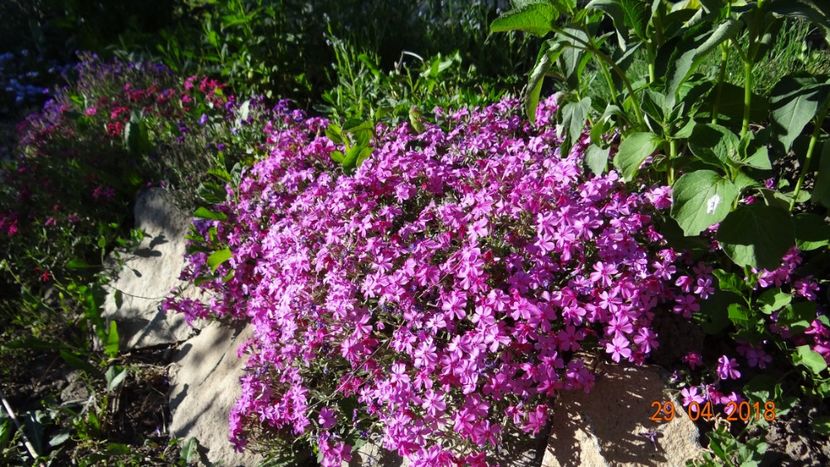  - Un inceput timid- aprilie infocat