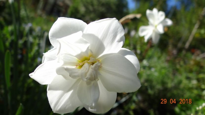  - Un inceput timid- aprilie infocat