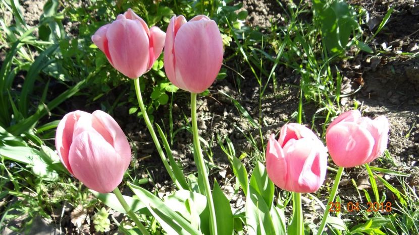  - Un inceput timid- aprilie infocat