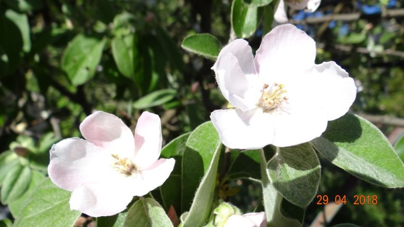  - Un inceput timid- aprilie infocat