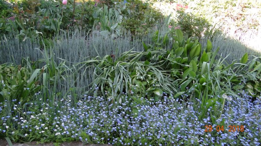  - Un inceput timid- aprilie infocat