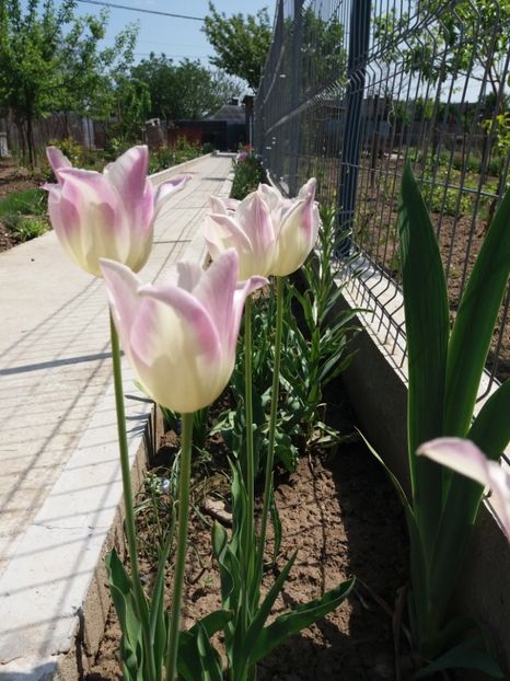 necunoscute - Prier 2018