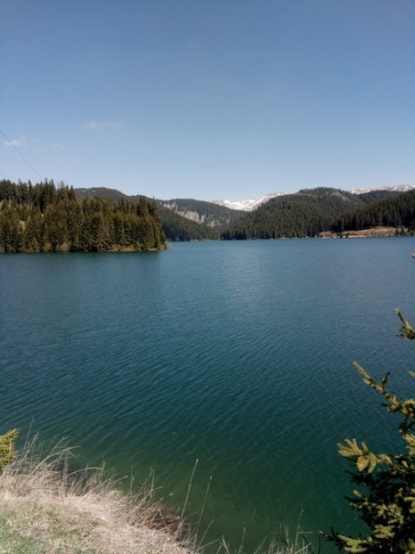 Lacul Bolboci - 6 - Diverse