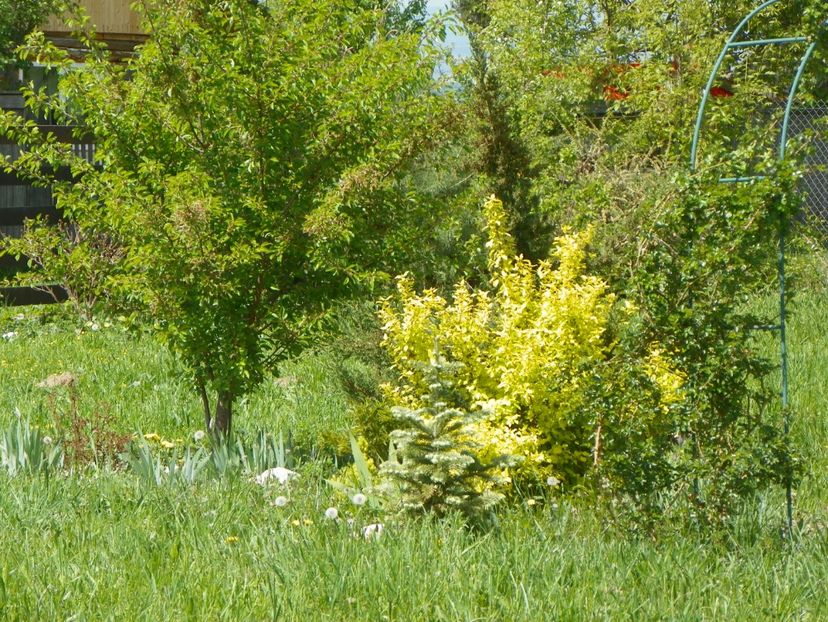 28 apr (63) - z-Dobarland 2018