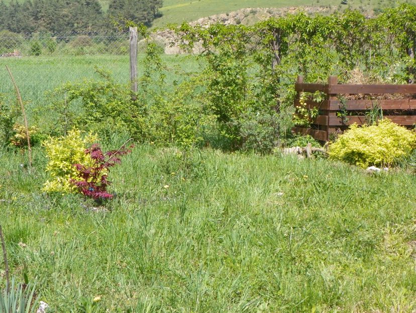 28 apr (120) - z-Dobarland 2018