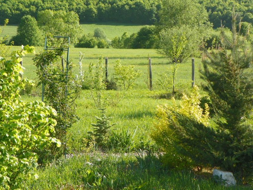 28 apr (137) - z-Dobarland 2018