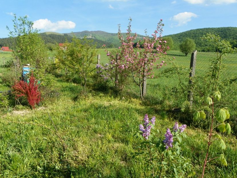 28 apr (158) - z-Dobarland 2018