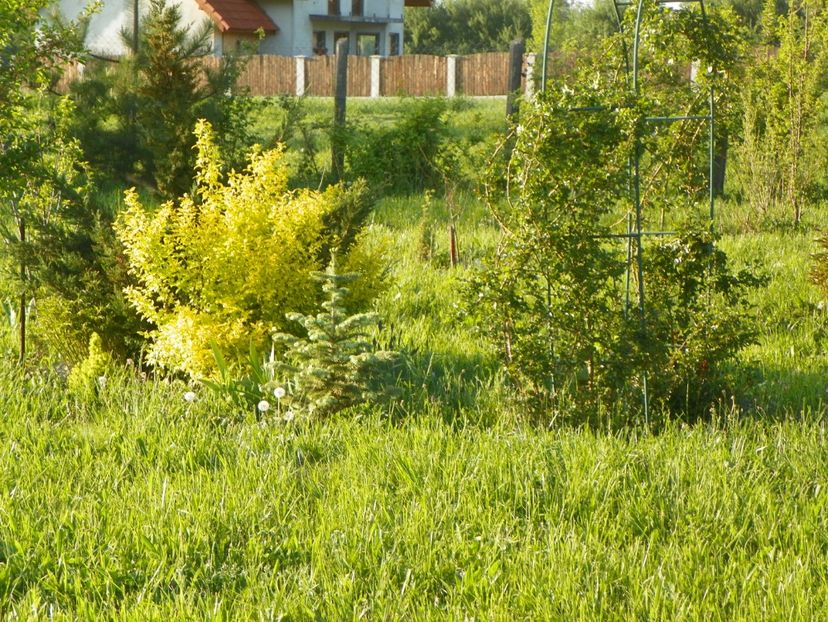 28 apr (173) - z-Dobarland 2018
